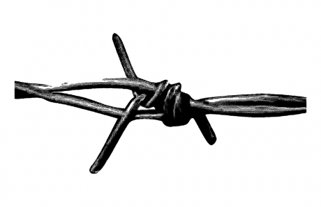 Barbed Wire 1